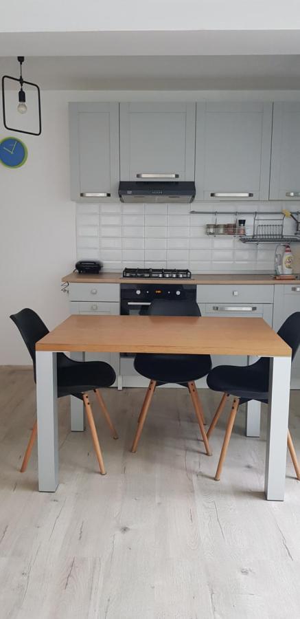 Appartamento Casa Zorilor Cluj Esterno foto