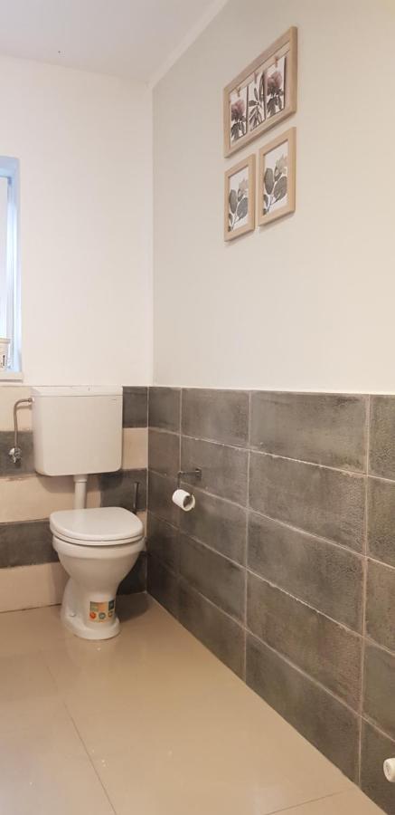 Appartamento Casa Zorilor Cluj Esterno foto